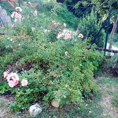 Casa Della Strega Séjour à la campagne